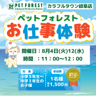 お仕事体験募集中！