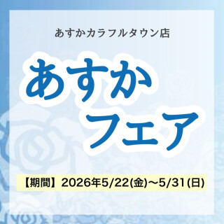 夏のスキンケア対策できていますか？！
