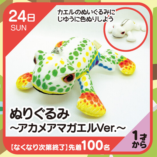 【キッズクラブ】ぬりぐるみ～アカメアマガエルVer.～