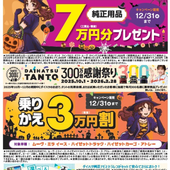 今月のお買い得情報