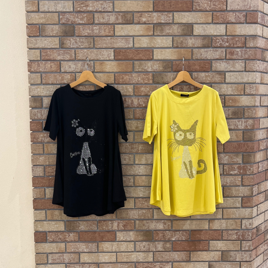 ☆CAT☆