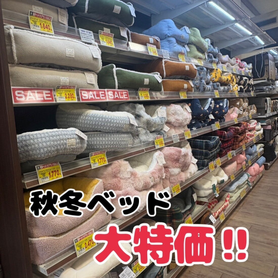秋冬ベッド大特価！