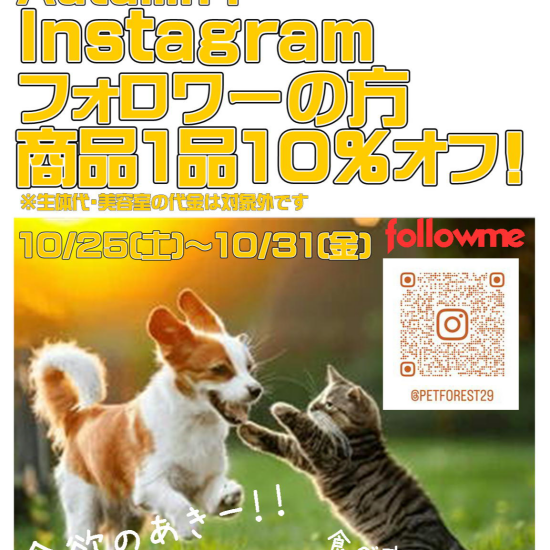 インスタグラムフォローでお好きな商品一点10％OFF！
