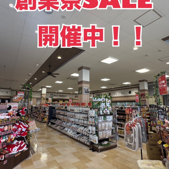 創業祭セール開催中！