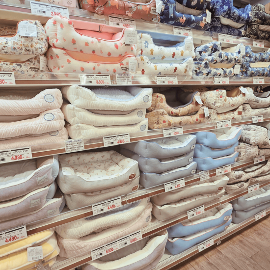 春夏ベッド入荷！