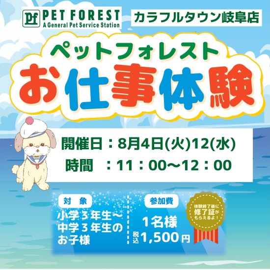 お仕事体験募集中！