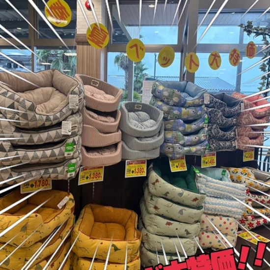 春夏ベッド大特価！