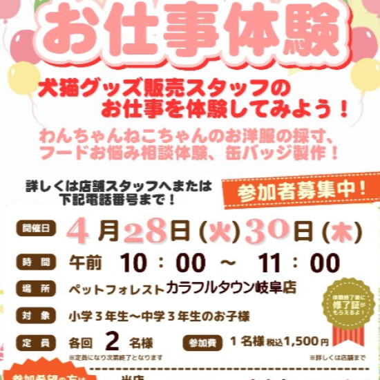お仕事体験参加者募集中！！