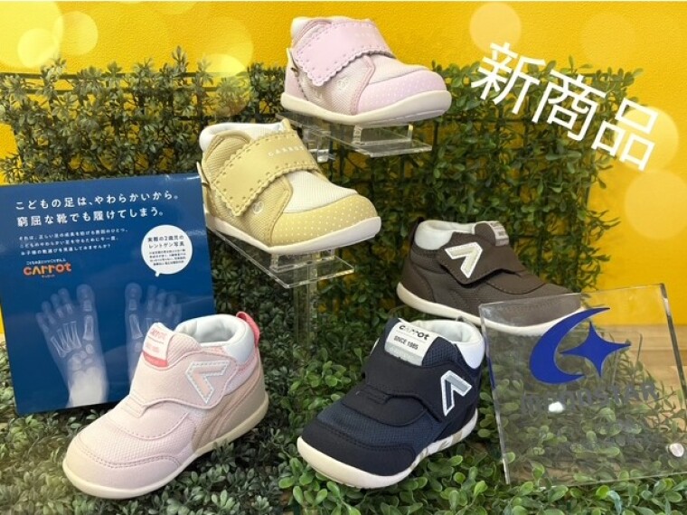 新商品入荷致しました🎵