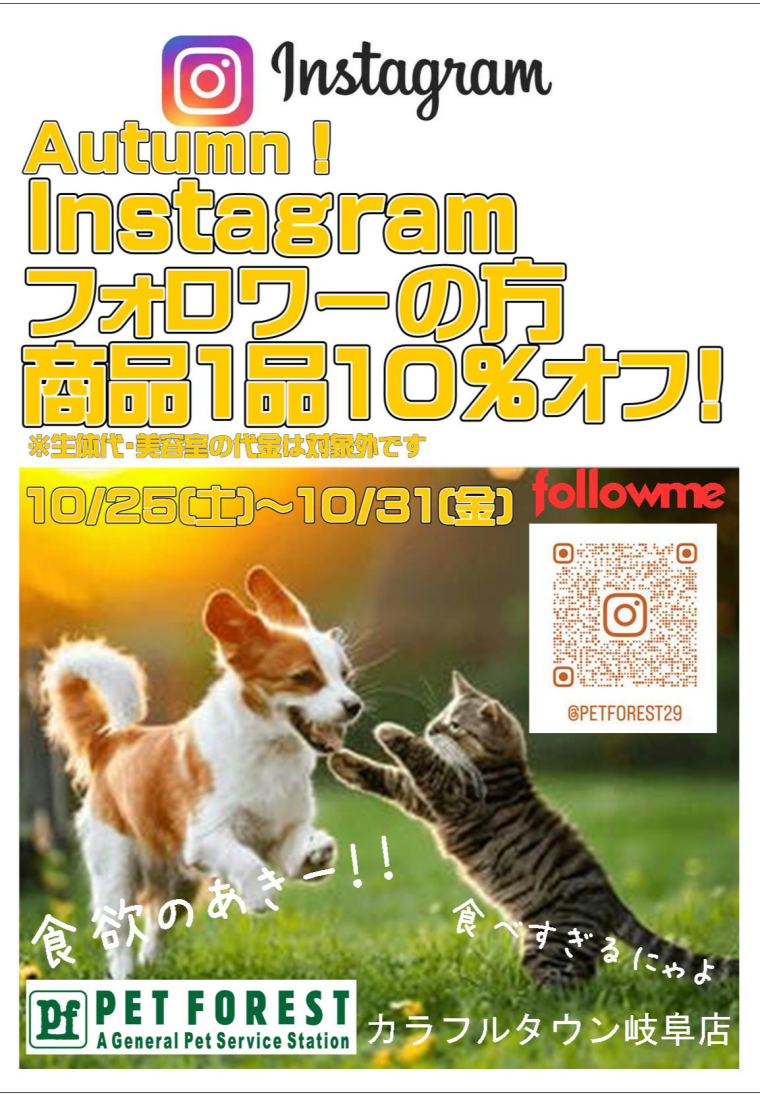 インスタグラムフォローでお好きな商品一点10％OFF！