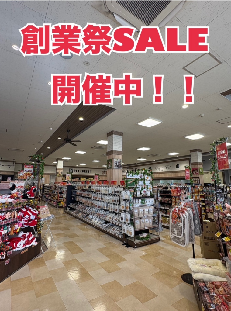 創業祭セール開催中！