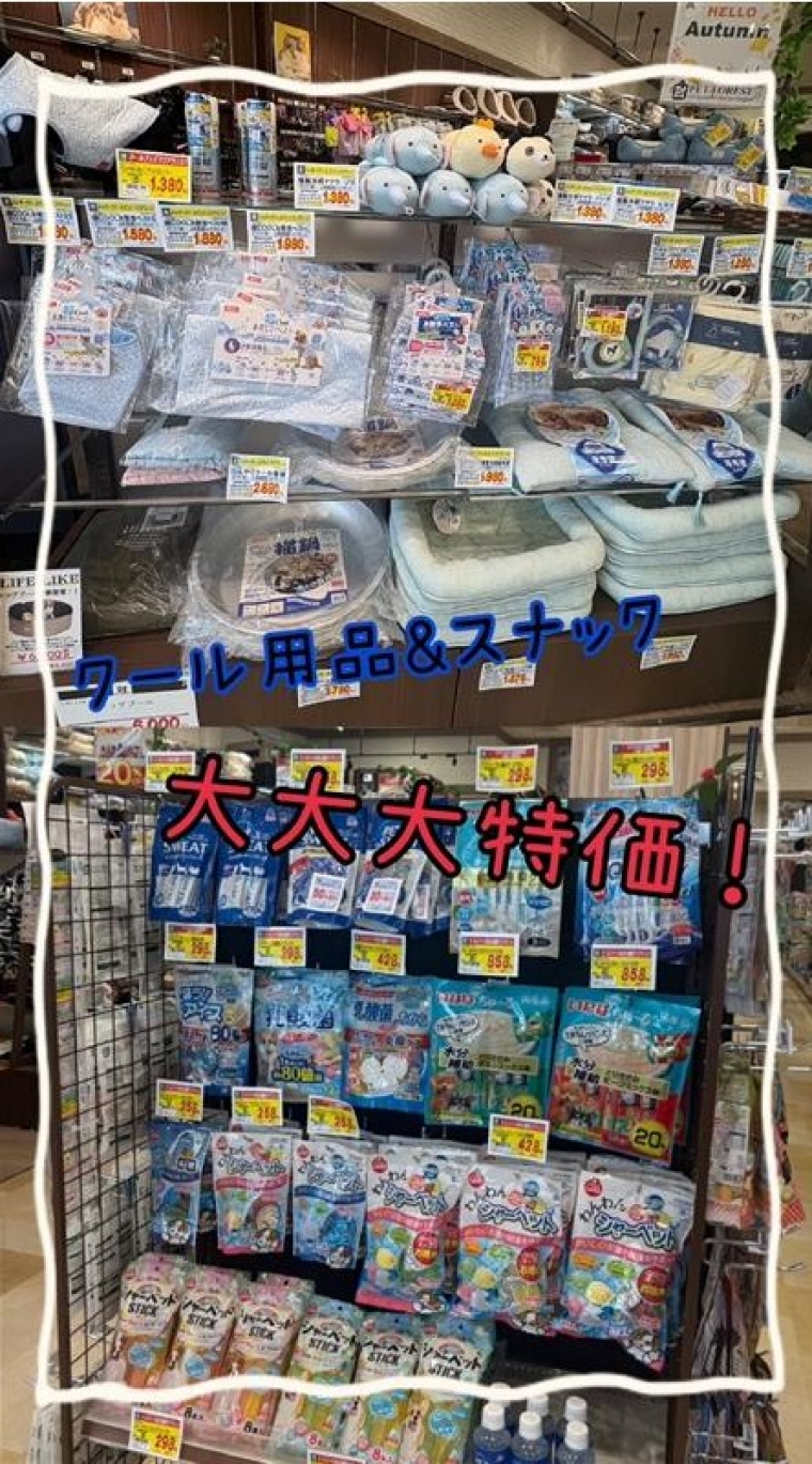ペットクール用品＆スナック大特価！