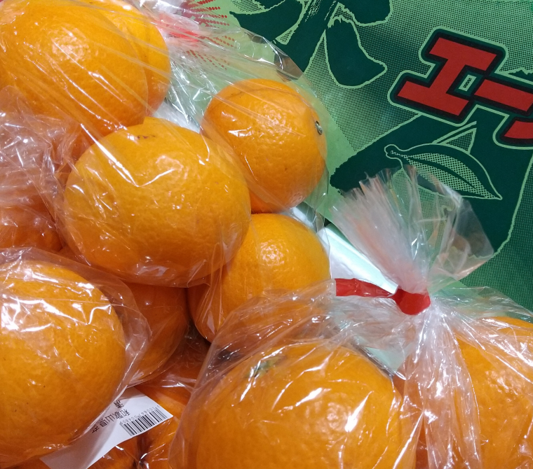 今イチオシの柑橘ありますよ❗️